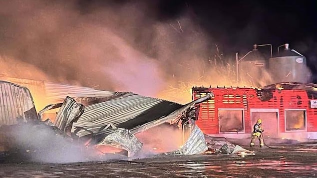 Read more about the article Un incendie rase la ferme avicole Bourgeois Dumont des Îles