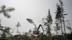 Read more about the article Des incendies criminels de machinerie forestière dénoncés