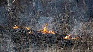 Read more about the article Risques élevés de feux de broussailles dans le sud du Québec, selon la SOPFEU