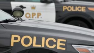 Read more about the article Un quinquagénaire meurt dans un accident de voiture dans l’ouest d’Ottawa