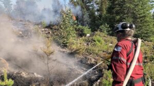 Read more about the article Incendie de forêt au nord du lac Saint-Jean