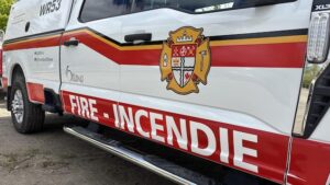 Read more about the article Un chat et un chien meurent dans un incendie à Ottawa