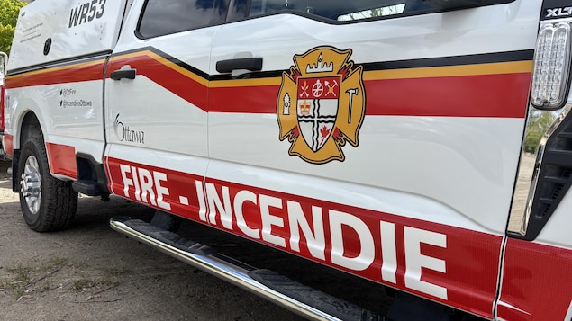 Read more about the article Un chat et un chien meurent dans un incendie à Ottawa