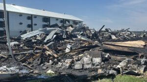 Read more about the article Des dizaines de milliers de poussins périssent dans un incendie