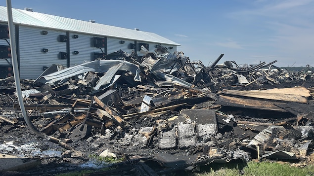 Read more about the article Des dizaines de milliers de poussins périssent dans un incendie