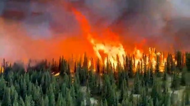 Read more about the article Un incendie de forêt fait rage près de la route 389 sur la Côte-Nord